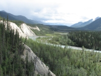 Trout Creek Salt Lick